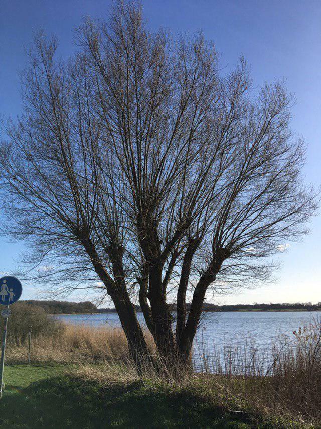 Ferienwohnung Am Noor Nahe Schleswig Und Dem Wikingerdorf Haithabu Fahrdorf  Екстериор снимка