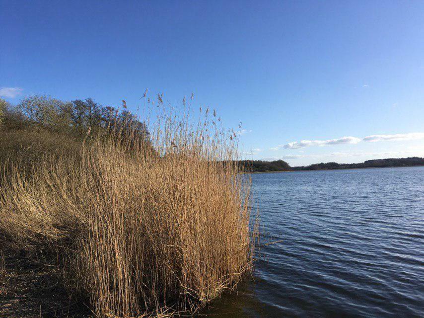 Ferienwohnung Am Noor Nahe Schleswig Und Dem Wikingerdorf Haithabu Fahrdorf  Екстериор снимка