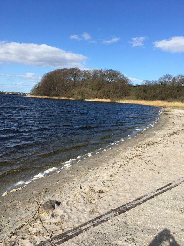 Ferienwohnung Am Noor Nahe Schleswig Und Dem Wikingerdorf Haithabu Fahrdorf  Екстериор снимка