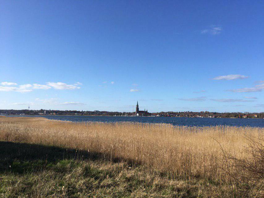 Ferienwohnung Am Noor Nahe Schleswig Und Dem Wikingerdorf Haithabu Fahrdorf  Екстериор снимка